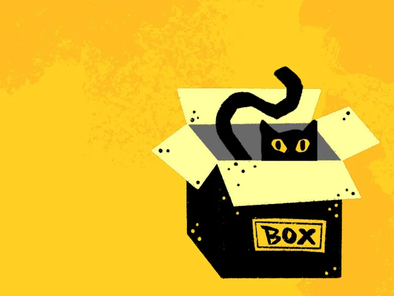 A black cat peeking out of a cardboard box marked BOX, on a yellow background.